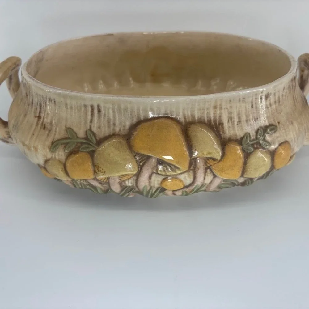 Vtg 1970s Arnel's Mushroom‎ Soup Tureen/ Dish Retro Cottagecore MCM Decor